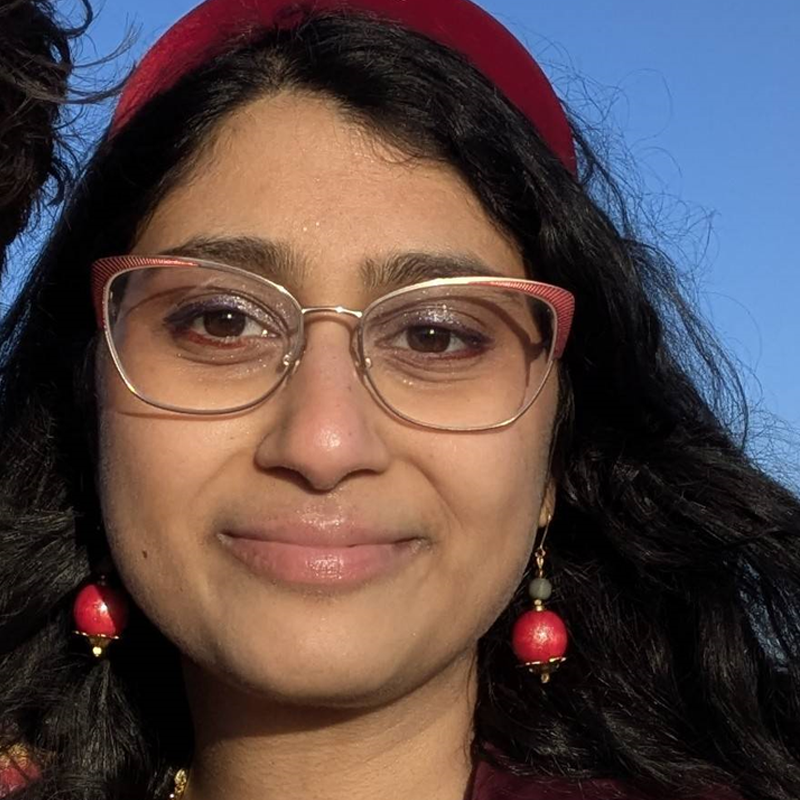 Apurva Raman